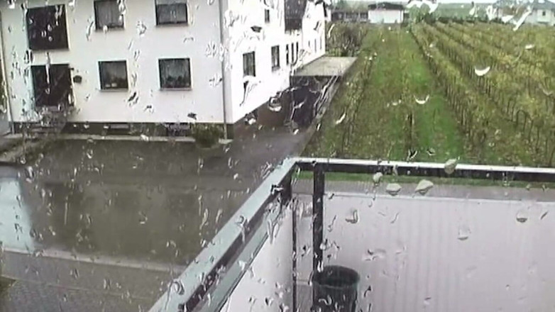 German bitch hunter: Dégoulinant de pisse, plug, suce un gode