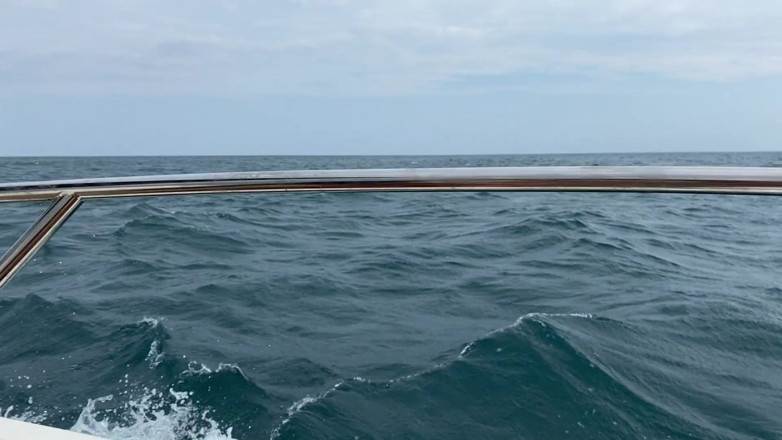 Daphnee Lecerf: My sea trip