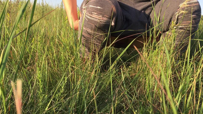 Risky Hairy Couple: Mijando na grama em um prado
