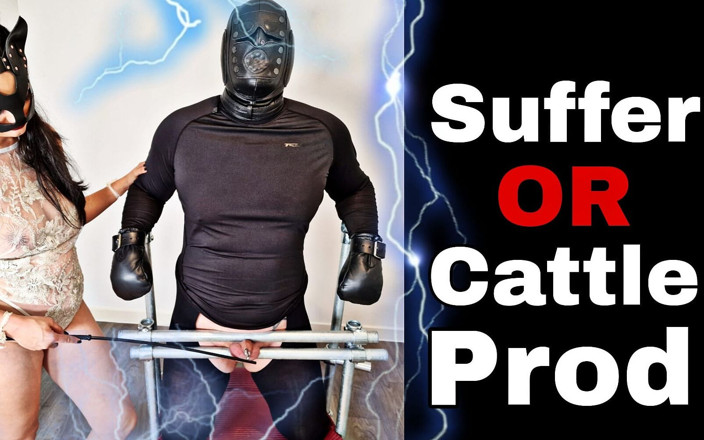Training Zero: Suffer or Cattle Prod Femdom Training Zero