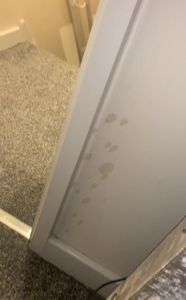 jay jenson: Om bara id för fångade det på video knull jag...