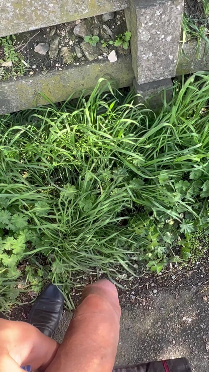 Hot dick in your ass: 公園で長くエッチな小便をする私をまとめた