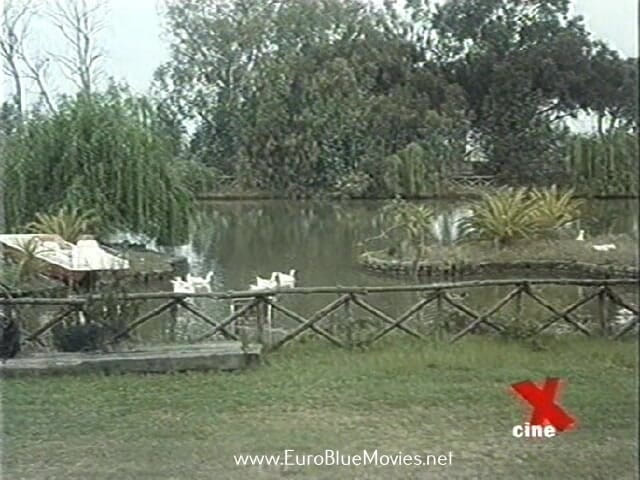 Euro Blue Movies: Voglia Di Maschi Caldi (1994)