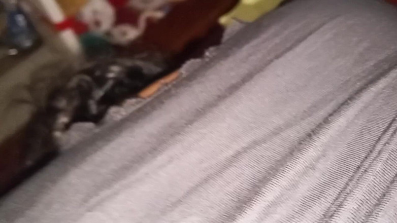 ibrahim3099: Popadl jsem ji za boky a tvrdě ji bušil zezadu -...