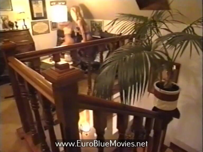 Euro Blue Movies: 비즈니스 후장 1997