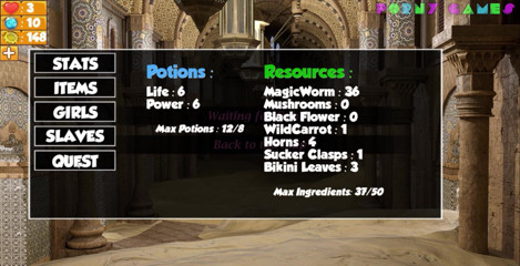 Porny Games: Dungeon Slaves v0.462 - divertimento nella piscina reale