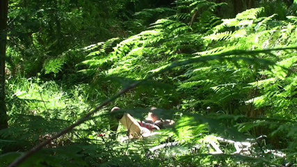 Erin Electra: Je Baise Mon Jeune Demi-frère Dans Les Bois
