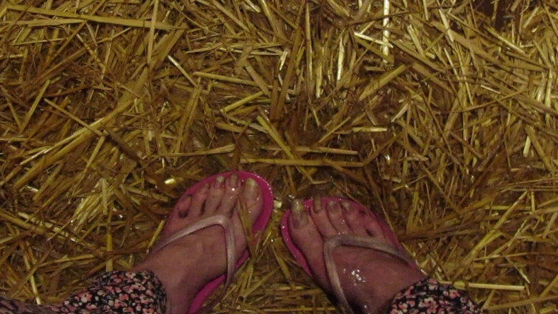 Lilly Disgrace: Piedi stalle pisciata
