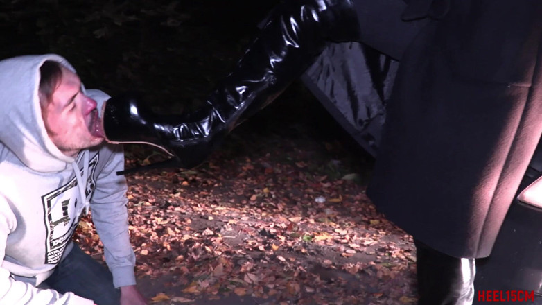 Heel 15 cm: Snickers