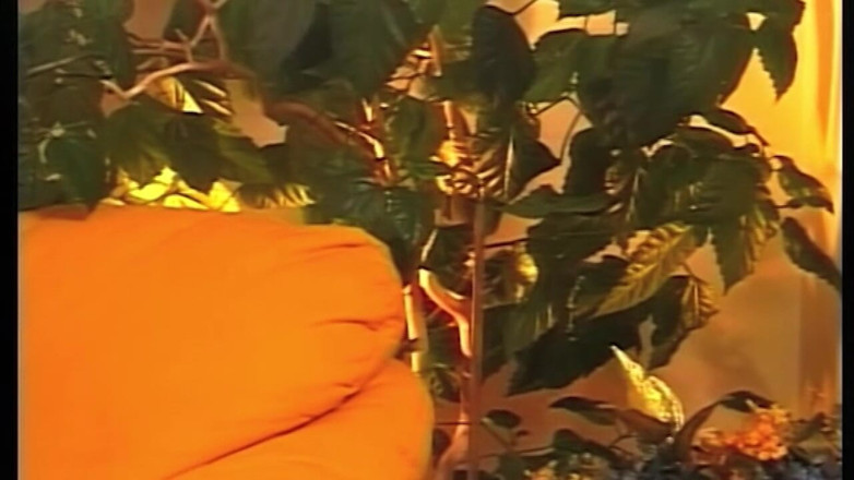 Boys boyz: 在重口味男性冲击后，勃动的肛门rosebud脱垂