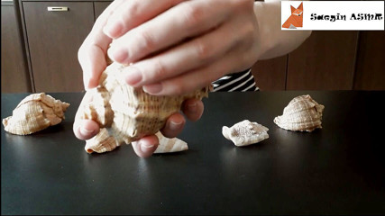 Saegin: 1 [ASMR] Трение вместе и царапает морские раковины (без разговоров)