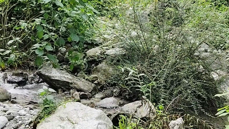 Uttar dinajpur: Kakak ipar India sama pacarnya saat berkeliaran di hutan.
