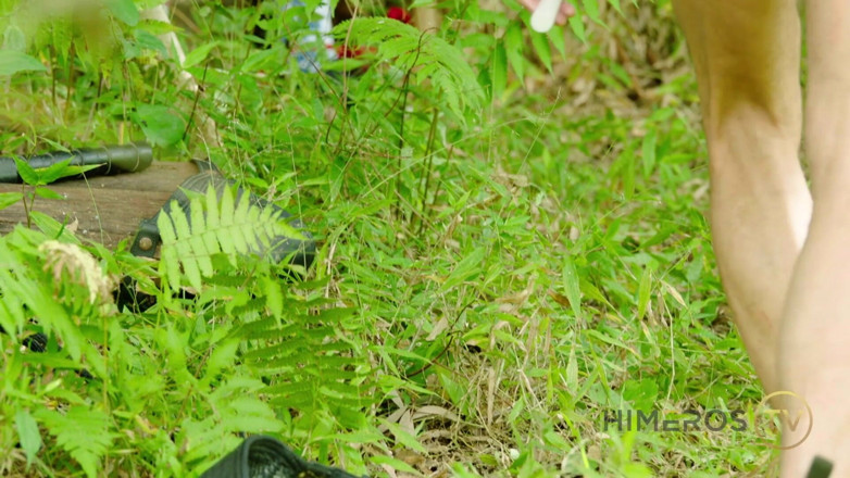 Himeros.tv: Jungle bondage