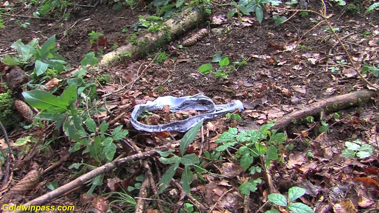 Goldwin pass: Hot chocolate skinny babe Nelly Black rough outdoor fucked in...
