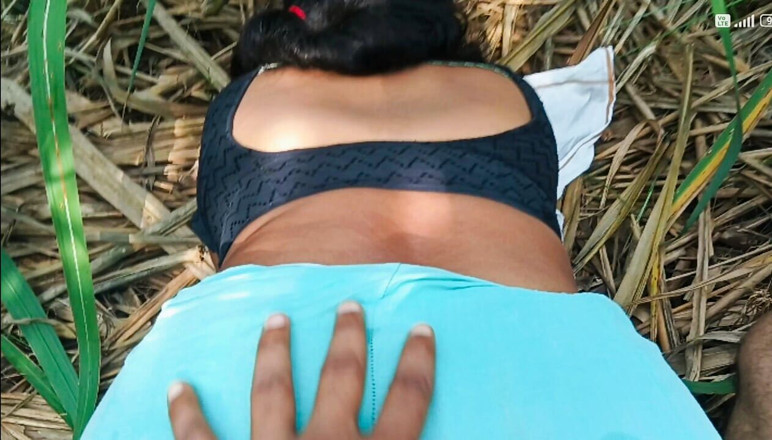 Desistepsis: Açık havada anal seks