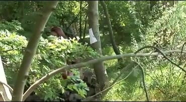Hefburg: Pelacur bodoh kepergok di luar ruangan