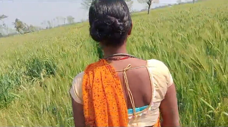 RadhaDevi: Desi Bhabhi wird auf dem Weizenfeld von Hasband gefickt