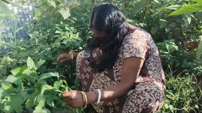 Sexyrani327: Desi india nella giungla