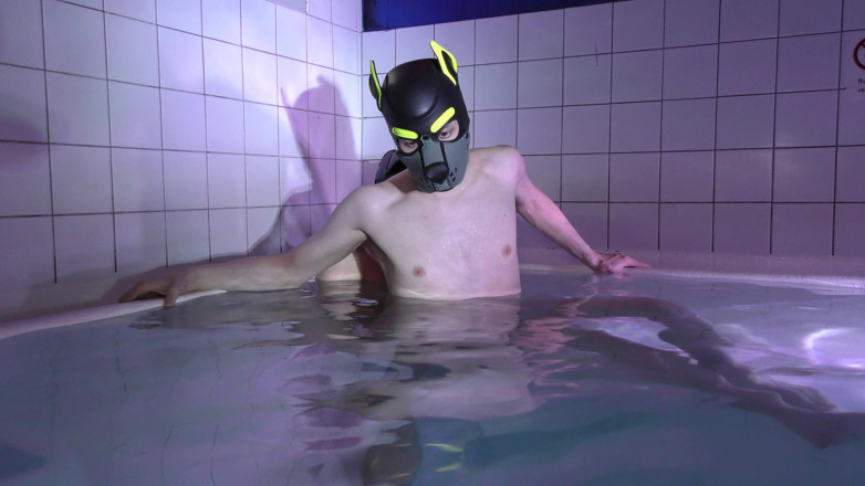 Project Y studios: Festa na piscina de quatro