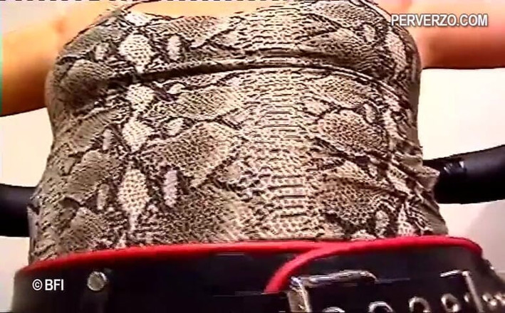 Fuck machine fun: Máy chơi cu giả trò chơi 2 cảnh trong 1