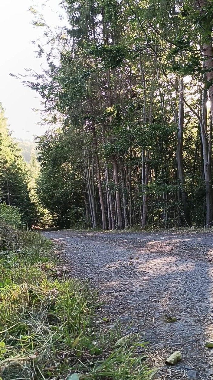 kickerscooter: Une motarde se masturbe dans la nature