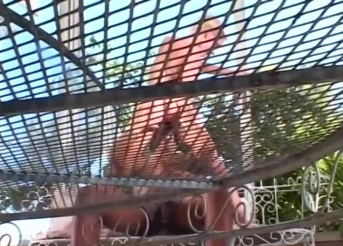 Monster Cocks: Verrückter großer schwanz für eine nasse, böse muschi!
