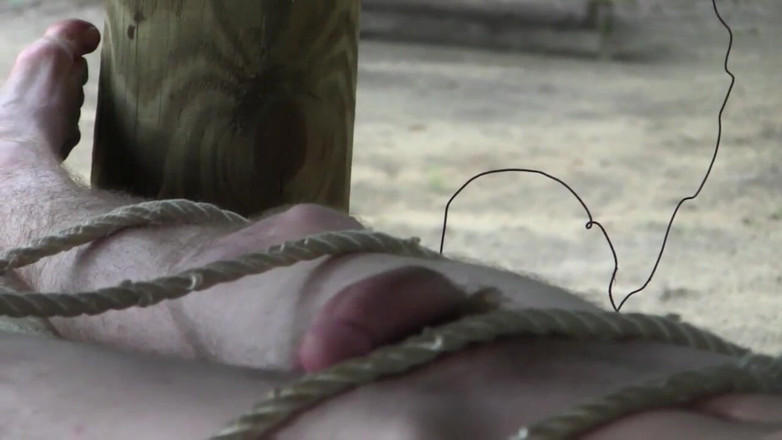 Dream Boy Bondage: Trêu chọc đứng cây - chương 2
