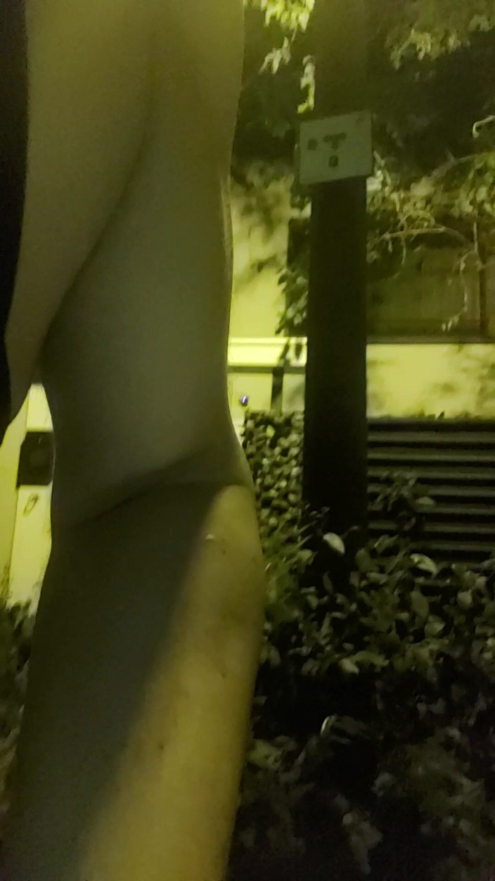 AnalStreetWhore: Venkovní zábava 2