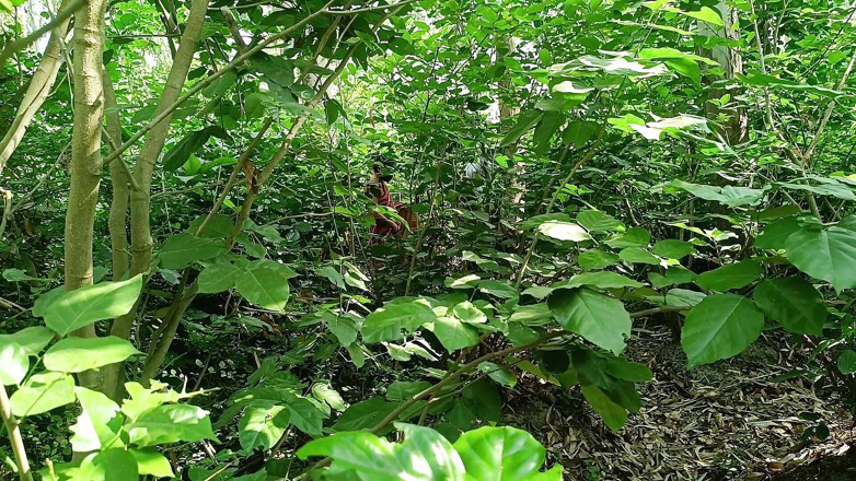 Asha Devi: Kakak ipar dientot di hutan - seks hot india