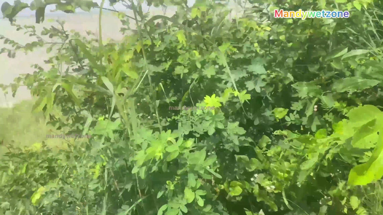 Detherapist: 妻子的第一部视频非常害羞，但终于同意了