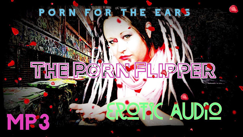 Campsissyboi: NUR AUDIO - Der porno-flipper