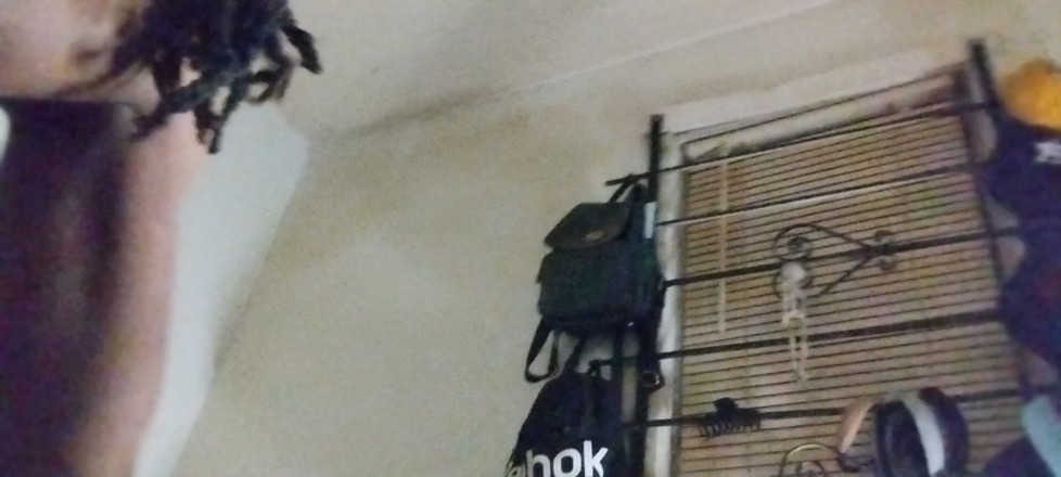 MariaModesto: Только то, что я хотел