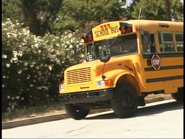 Ride Me In The Car: Puttana teenager vuole scopare un autista di autobus