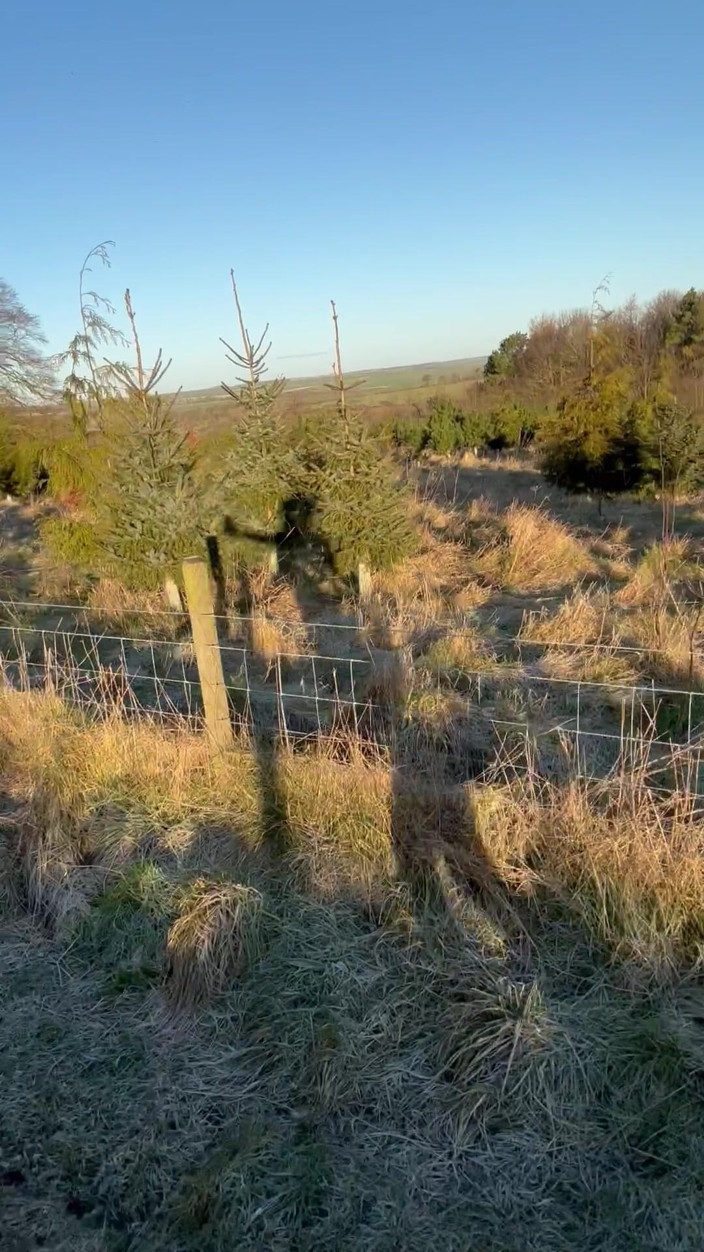 J3rm41n3: Naked Hike. Pakaian terbiar. -2 Celsius
