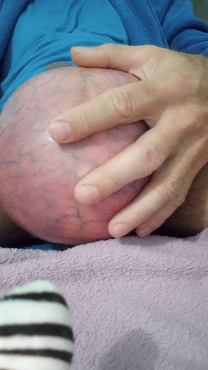 Lion big balls: Aria estrema