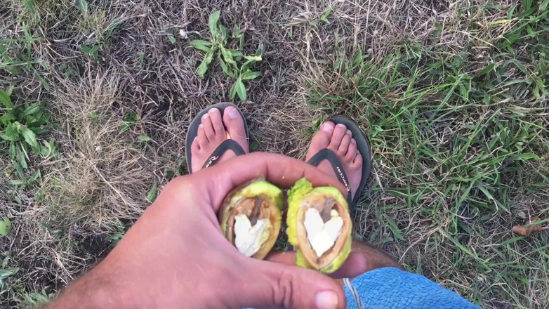 Manlyfoot: mere pairon se nat phorna - Manlyfoot - phlip phlop laiph - ostreliyaee...
