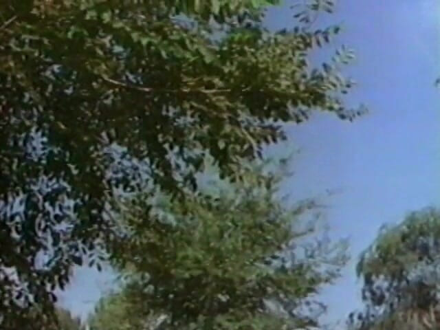 Tribal Male Retro 1970s Gay Films: 하드코어 애널 섹스