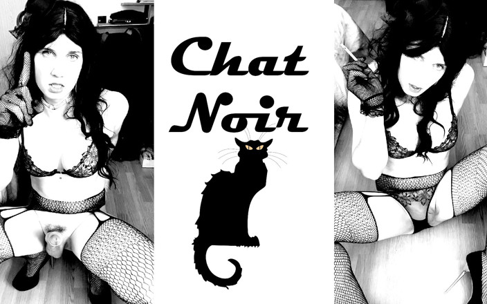 Anna Rios: Chat Noir