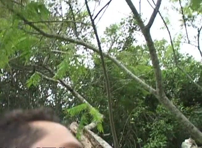 Bareback TV: Băieți superbi care se distrează