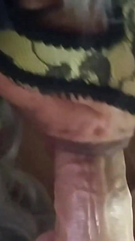 Une femme excitée perfectionne une bonne pipe pour faire plaisir à ses amants 1
