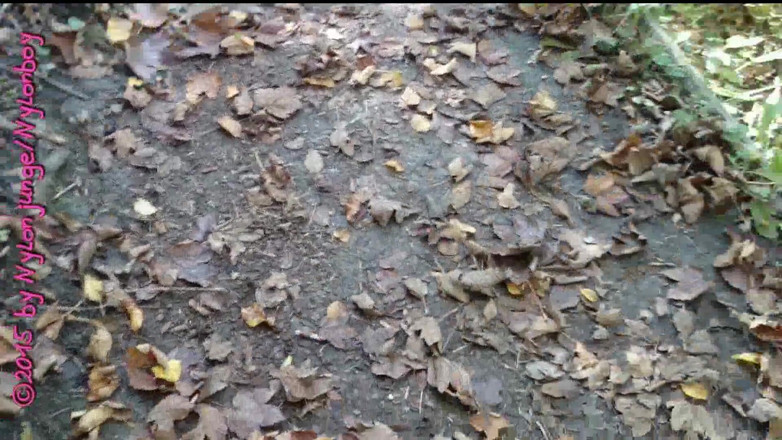 Carmen_Nylonjunge: 森林散步 - 第1部分运动鞋