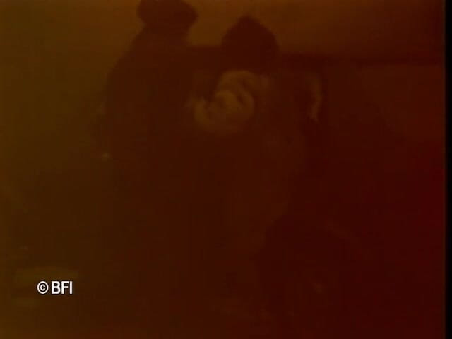 Made in Holland: F*rmers 식욕 2
