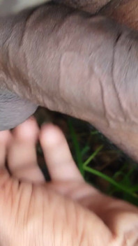 Cock Shaking Boy
