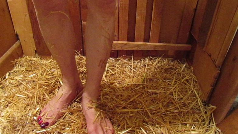 Lilly Disgrace: Sissy wichst in ihrem stall
