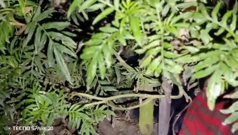 Real Time Enjoy: Aku dientot habis-habisan di rumah sama pacarku - apa yang terjadi...