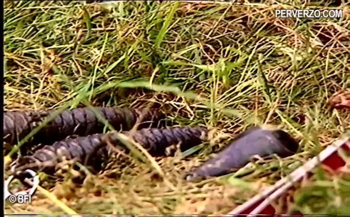 Hardcore slave sex: Ao ar livre vintage bdsm cena de grupo