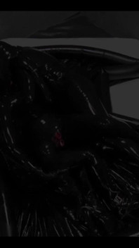 Latex-wunsch 2