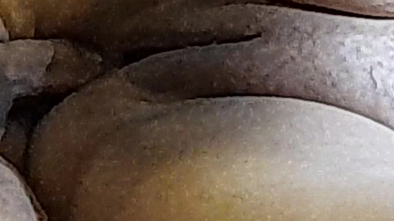 naughtylittleant: Freches brasilianisches paar kostenlos teil 9 - freche kleine ant