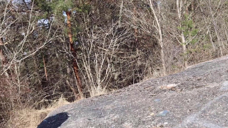Eronordic: Olga succhia il cazzo di sconosciuto