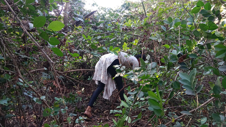 xxxSejal: Desi Piękna Gorąca Bhabhi Jungle Główny seks Kiya Out Dorsex
